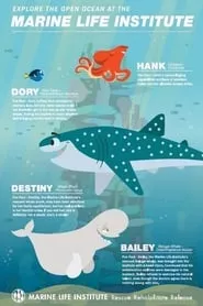 Marine Life Interviews (2016)