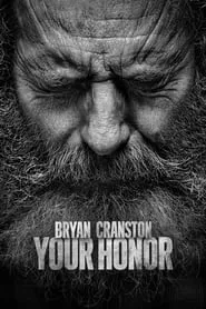 Your Honor (2020)