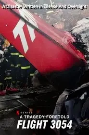 A Tragedy Foretold: Flight 3054 (2025)